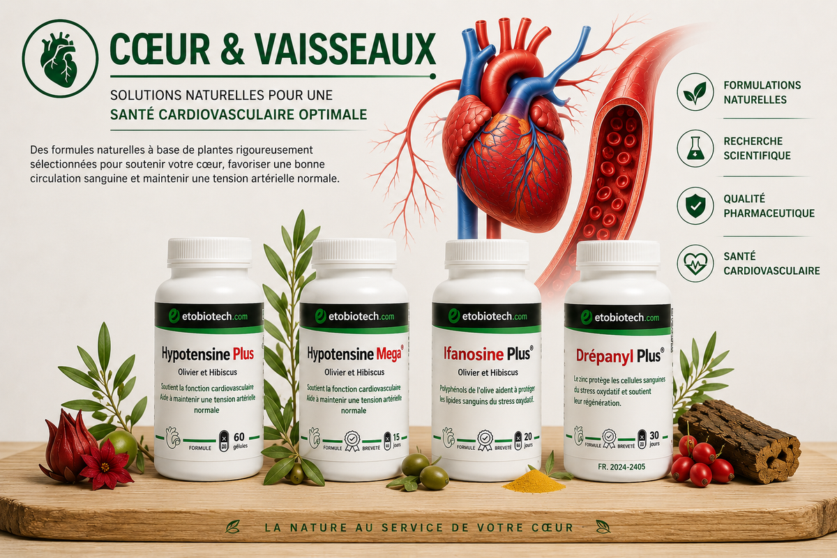 Système cardiovasculaire