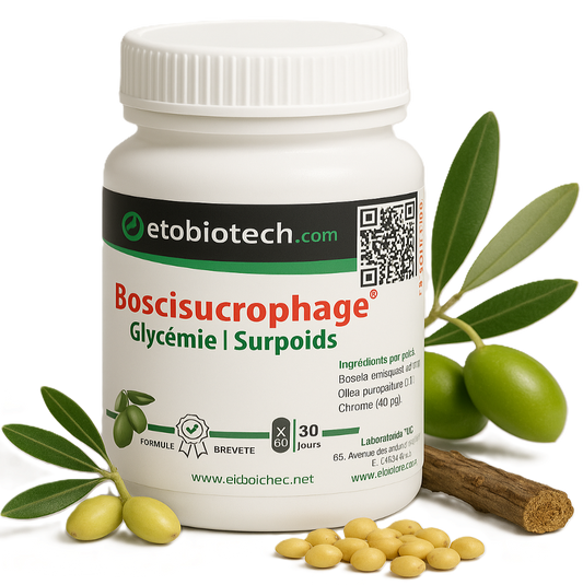 Boscisucrophage