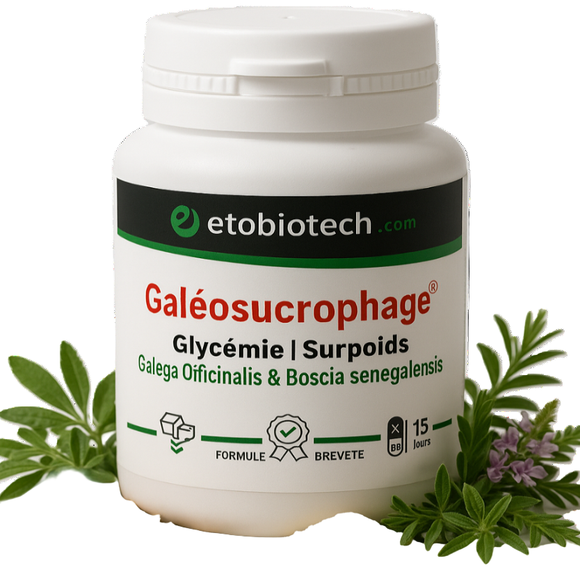 Galéosucrophage