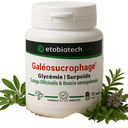 Galéosucrophage