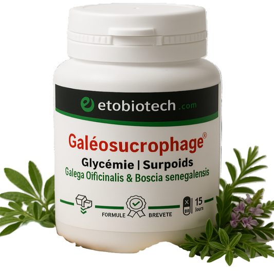 Galéosucrophage