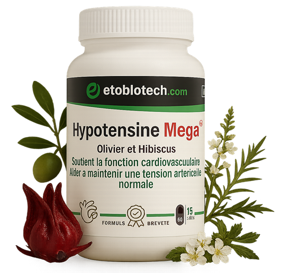 Hypotensine Mega