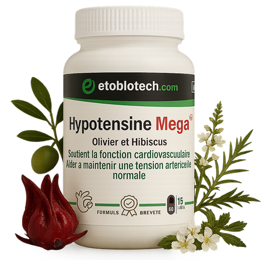 Hypotensine Mega