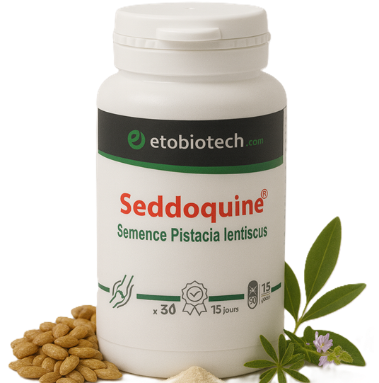 Seddoquine